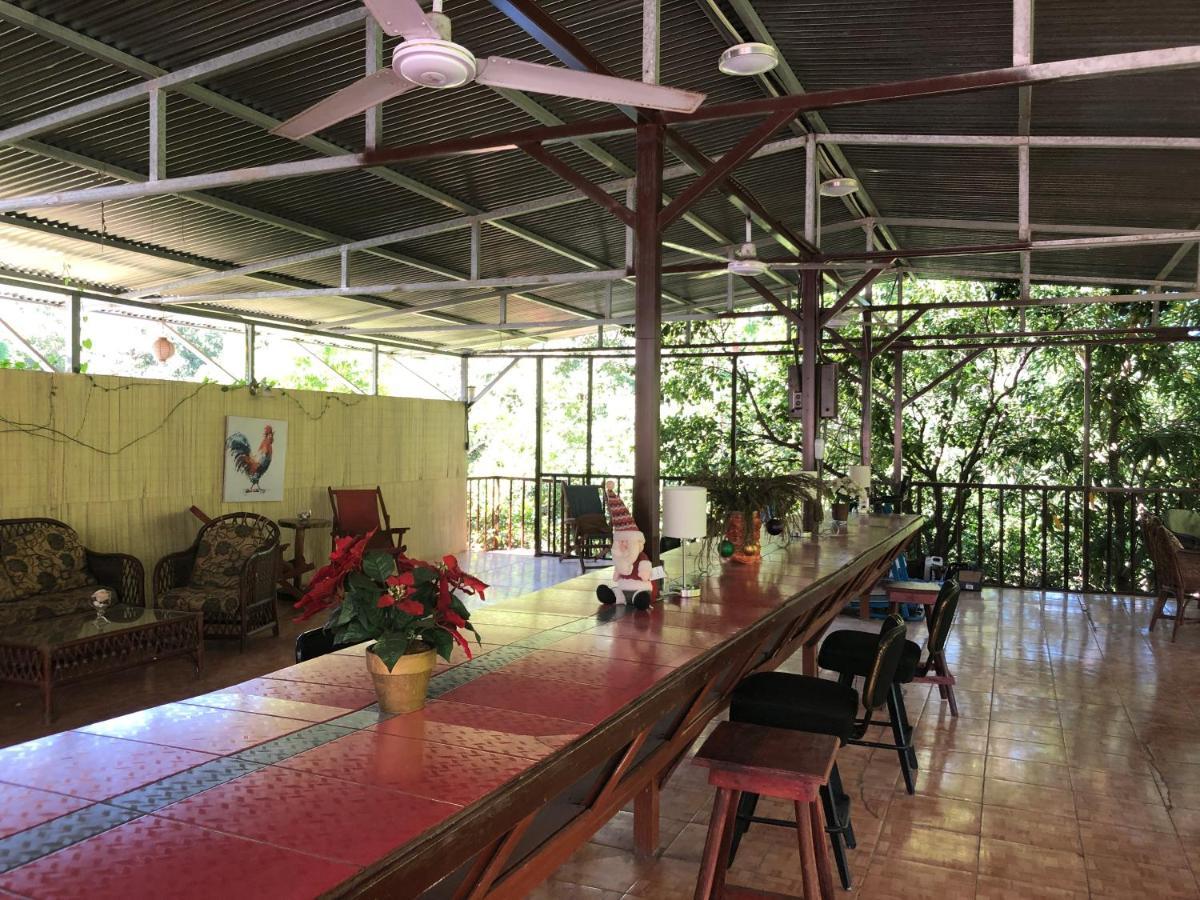 Toucan House ココ エクステリア 写真