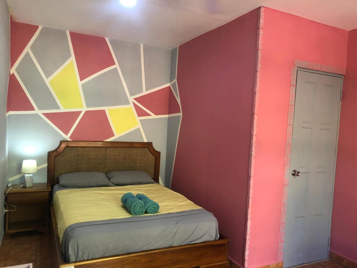 Toucan House ココ エクステリア 写真