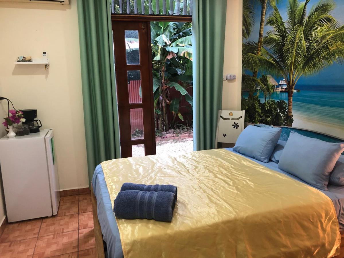 Toucan House ココ エクステリア 写真