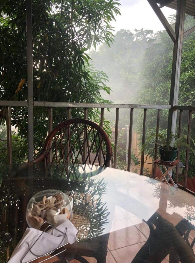 Toucan House ココ エクステリア 写真