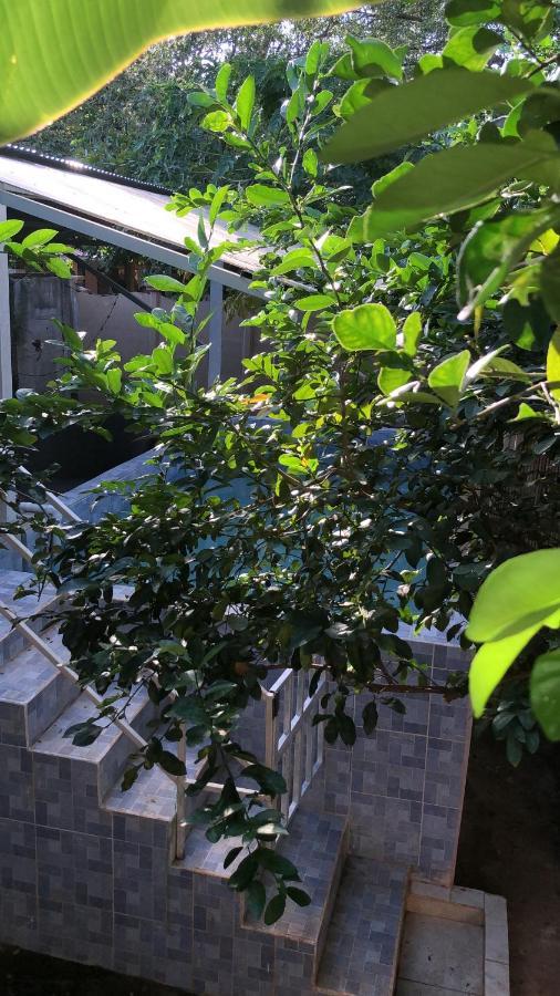 Toucan House ココ エクステリア 写真